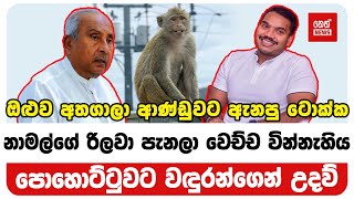 නාමල්ගේ රිලවා පැනලා විදුලියට වෙච්ච වින්නැහිය @NethNewslk