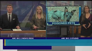 Poisoned Pets