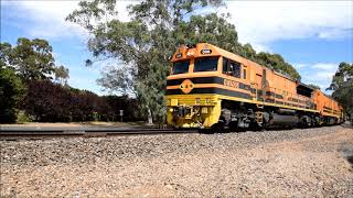 Genesee and Wyoming Tailem Bend Grain train