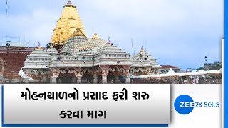 Banaskantha: Irked devotees demand to continue Mohanthal as prasad at Ambaji temple | Zee News