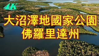 【4K】大沼澤地國家公園，佛羅里達州，世界遗产