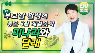 부교감활성에 좋은 3월 제철음식 - 미나리와 달래 (#자율신경 #교감 #부교감 #자율신경실조 #여성건강)