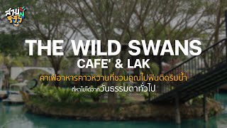 [สามสีรีวิว] EP 109 : “The wild swans cafe' \u0026 lake\