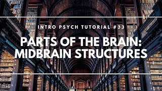 Parts of the Brain: Midbrain Structures (Intro Psych Tutorial #33)