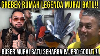 GREBEK RUMAH LEGENDA MURAI BATU!! BUSER MURAI BATU SEHARGA PAJERO 500JT!! ANDI OWEN