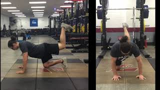 Hip Extension Quadruped Bent Leg