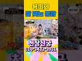 용띠와 잘 맞는 궁합 shorts