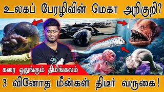 🔴உலகப் பேரழிவின் மெகா அறிகுறி? |🦈கரை ஒதுங்கும் Whales | 3 வினோத மீன்கள் திடீர் வருகை! | Strange fish