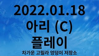 2022.01.18 아리 (C) 플레이