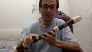 8. How to play alto recorder : Bb and Oh Susanna