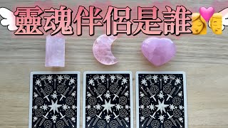 塔羅占卜🔮 你的靈魂伴侶是誰💌你們會結婚嗎？下一個陪你過情人節的戀人💑在哪裡？ 【情人節特輯❤️】