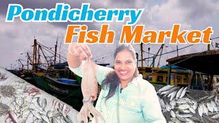 Pondicherry Harbor and Fish market 💥எங்கும் இல்லாத RATE 🔥 Fresh மீன் 🐟