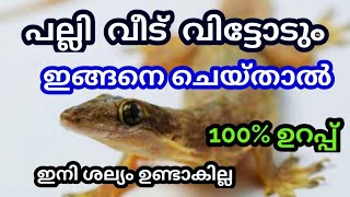 പല്ലി ശല്യം എന്നന്നേക്കുമായി അകറ്റാൻ ഇങ്ങനെ ചെയ്താൽ മതി | 100% ഗ്യാരണ്ടി | avoid home lizard