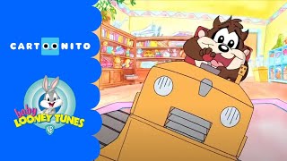 Baby Looney Tunes Cheeky Taz Cartoonito Uk Music Jinni