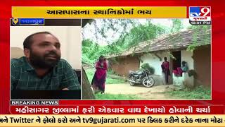 Tiger spotted in Khanpur forest region in Mahisagar district |Gujarat |TV9GujaratiNews