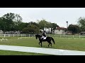 USDF Intro Test A / 1st Place