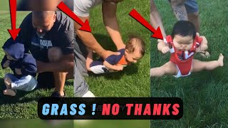 Why babies don't touch grass?