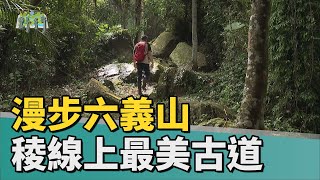 Walk!野行|漫步六義山 稜線上最美古道