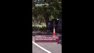 Florida officers find 24 dogs inside parked car