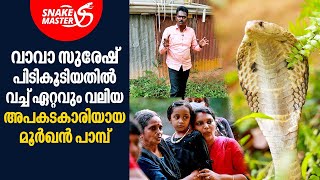 കൂടി നിന്നവർ വലിയ മൂർഖൻ പാമ്പ്‌ വരുന്നത് കണ്ട്‌ പേടിച്ചോടി | Vava Suresh | Snakemaster EP 822