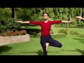 vrikshasana the tree posture