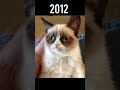 Famous Animal Memes 😢 Then Vs Now (Part 2) #shorts #memes #meme #legend