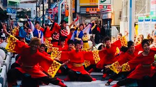 神戸学生よさこいチーム湊 「朱巽」 明青祭 2017