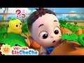 🐤 Chú gà con của gia đình | Lia ChaCha và đàn gà dễ thương | LiaChaCha Ca Nhạc Thiếu Nhi Việt Nam