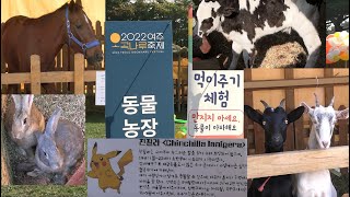 동물 농장 직캠 CAM 2022 여주 오곡나루 축제 여주시 KOREA Animal Farm yeoju ogoknaru festival 2022 KOREA yuju-si