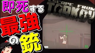 【EFT】最凶のスコープと最強の弾丸で初心者を姫プしてみたwwwww【ゆっくり実況プレイ/Escape from Tarkov】