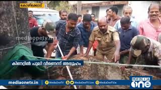 കോഴിക്കോട് ബാലുശ്ശേരിയില്‍ കിണറ്റില്‍ വീണത് പുലിയല്ല, കാട്ടുപൂച്ച