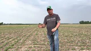 Nutrien Ag Solutions and Radiate Next on post beans with Terramar