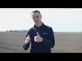 nitrogen on fodder beet pgg wrightson tech tips