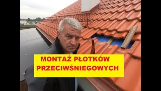 Płotki przeciwśniegowe na dachu.