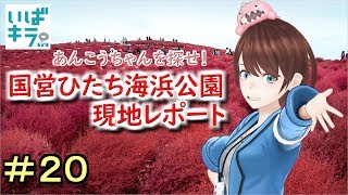 【#20】ひよりんと一緒！茨城県観光レポート ~国営ひたち海浜公園編~【いばキラVtuber 茨ひより】