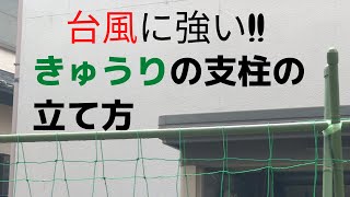 【初心者向け家庭菜園】きゅうり栽培のための支柱の立て方（おじいちゃんの知恵）