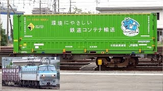 JR貨物 EF66-107 貨物列車(5073レ エコンくんコンテナ U48A-38001有) 笠寺駅 着発