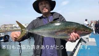 fishingmax 泉大津店　岸和田一文字！良型鱸！メジロ