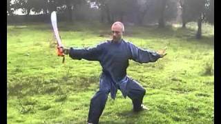 Chenshi Taiji Dan dao.flv