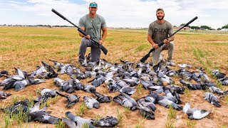 Silenced Shotgun 2 Man Barn Burner Pigeon Hunt!!