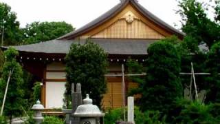 【寺院】大宮・清河寺（埼玉）