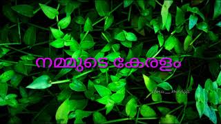 കേരളത്തെക്കുറിച്ചൊരു പാട്ട് |തുഞ്ചന്റെ പൈങ്കിളി പാടിയ .......|SONG | MALYALAM