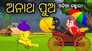 ଅନାଥ ପୁଅ | Anatha Pua | Tiki Chadhei Odia Gapa Odia Bird Story Chadhei gappa Odia Moral story