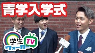 青山学院大学 入学式で聞いてみた Part2　#青山学院　#青学　#入学式　#青山学院大学