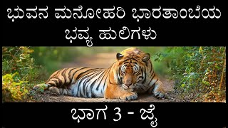 ಜೈ - ಭಾರತ ಕಂಡ ಅತೀ ದೊಡ್ಡ ಹುಲಿ | Jai - India's largest tiger | Umred-Karandla ।