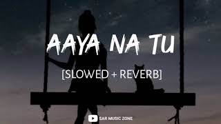 Aaya Na Tu (Slowed + Reverb) - Arjun & Momina | SAR Music Zone