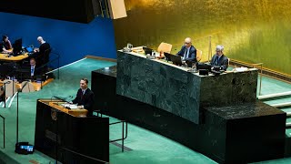 Foreign Minister Radosław Sikorski at the UN General Assembly: Eleventh Emergency Special Session