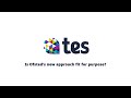 Is Ofsted's new inspection system fit for purpose? (Tes webinar preview)