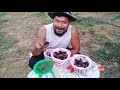 หม่อนดำออส​ตุรกี​ผลยักษ์​ 1กก.มีกี่ผลมาดูกันครับ the largest mulberry fruit in the world.