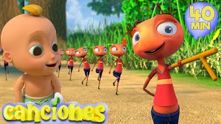 🐜Las Hormigas Marchan - y Las Mejores Canciones Infantiles | LooLoo